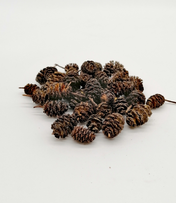 Dried alder cones 50gr. bag (approx. 100pcs)